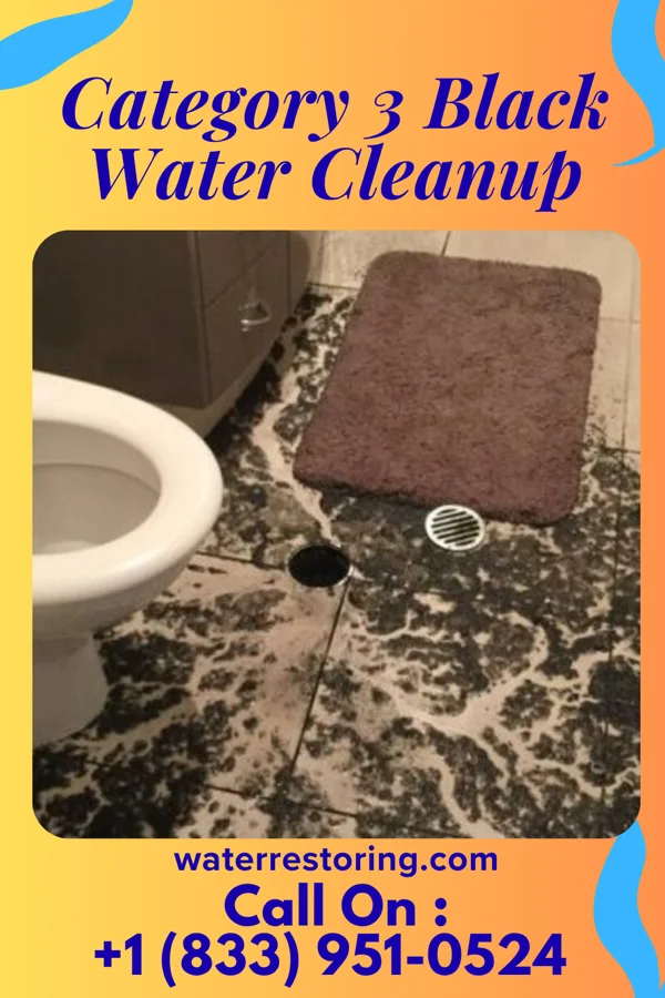 Category 3 Black Water Cleanup in Perkinsville, VT