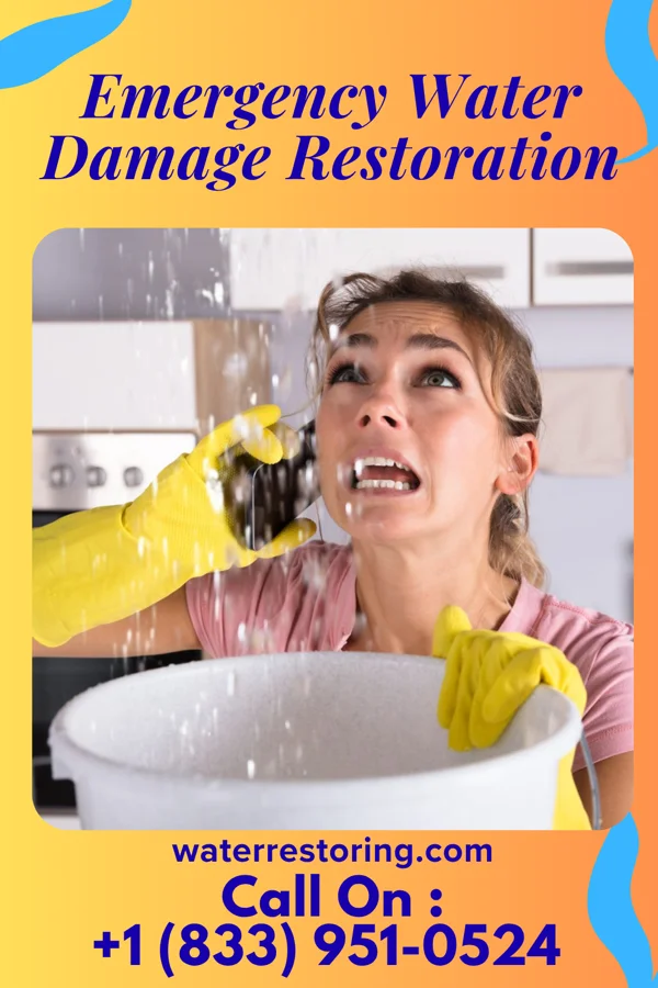 Emergency Water Damage Restoration in Perkinsville, VT