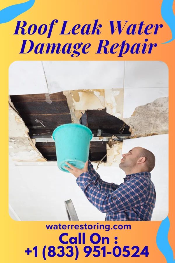 Roof Leak Water Damage Repair in Perkinsville, VT
