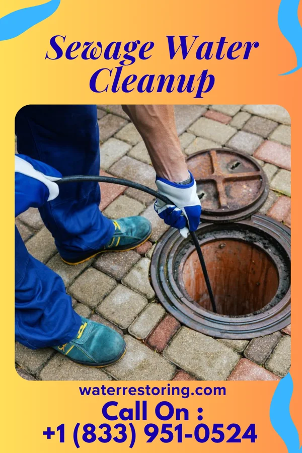 Sewage Water Cleanup in Perkinsville, VT