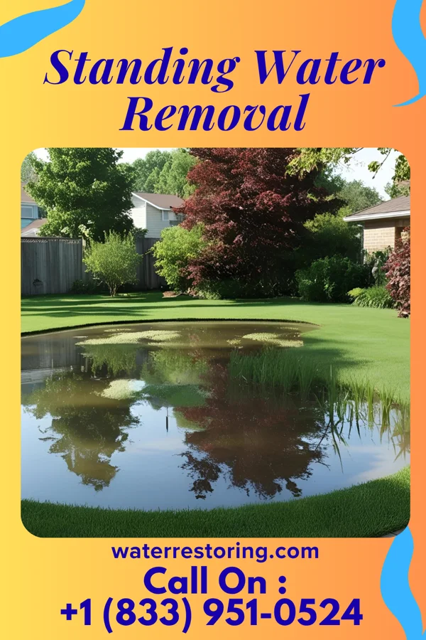 Standing Water Removal in Perkinsville, VT